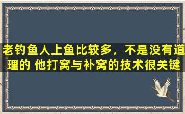 老钓鱼人上鱼比较多，不是没有道理的 他打窝与补窝的技术很关键